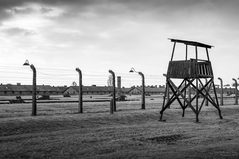 Auschwitz Birkenau L1007961 20161017