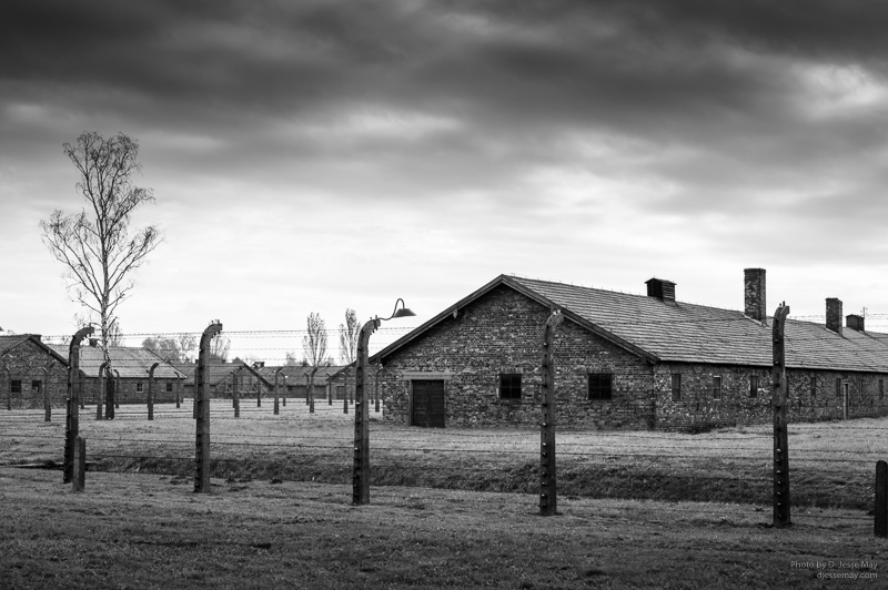 Auschwitz Birkenau L1007969 20161017