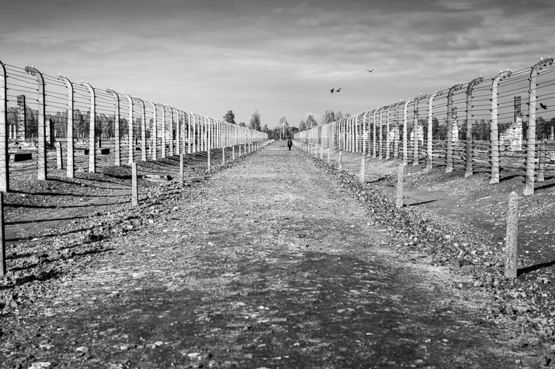 Auschwitz Birkenau L1008019 20161017